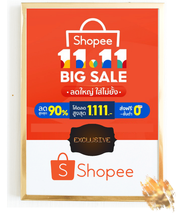 1111Shopee2021-saleduckth.png